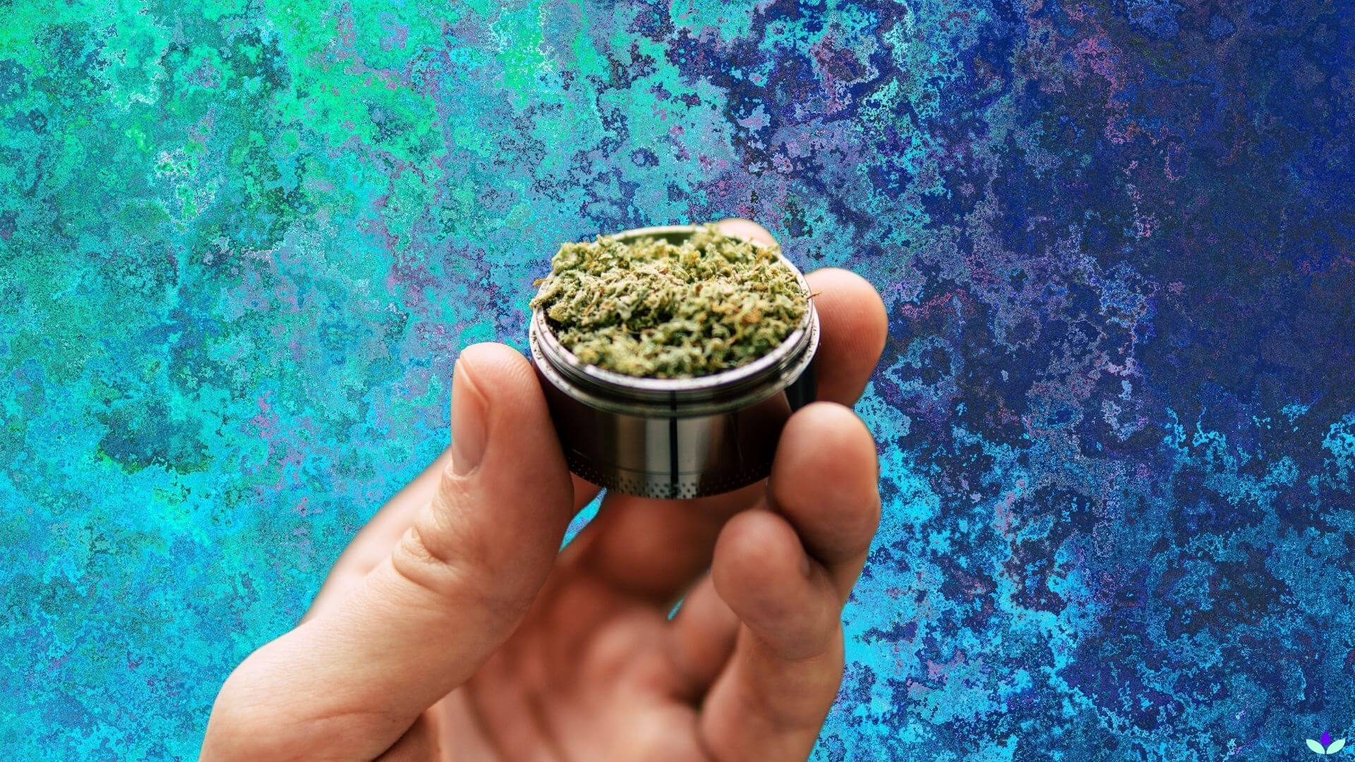 Flower Stampede 4-Layer Cannabis Grinder with Kief Collector